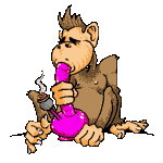 monkey_smoke.gif